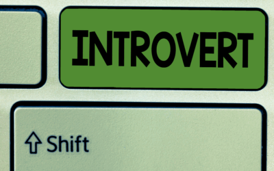 Quiet Changemakers: Introverts in the Nonprofit Sector
