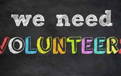 Maximizing the Strategic Impact of your Volunteer Program