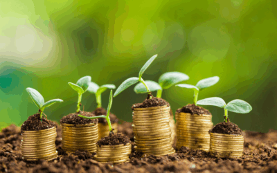Professional Development: Why nonprofit organizations must invest in their staff