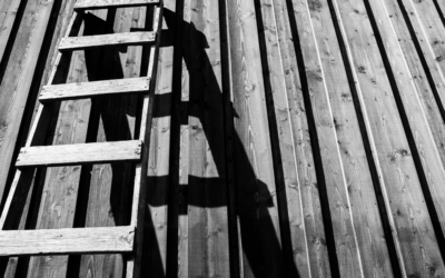 Climbing broken ladders: Women aspiring to nonprofit leadership