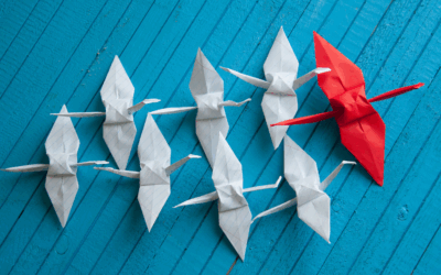 Executive Directors: How to make the move to leading a larger organization