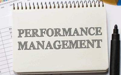 No Ratings Performance Management: Lessons for Success