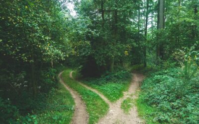 Three ways strategic volunteering elevates your career