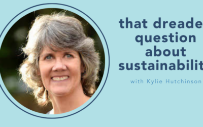 The Small Nonprofit Podcast: That dreaded question about sustainability with Kylie Hutchinson