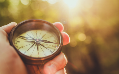 State of the Sector, Part 2: Checking in on 2021