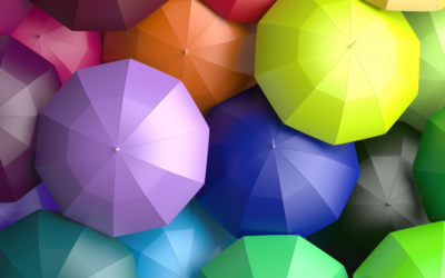 Performance excellence through cognitive diversity in the boardroom