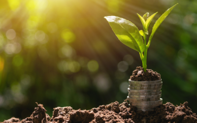 Small Shop Stewardship: Tools for nonprofit staff, leaders, and board members