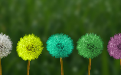 Theory of Change: A pathway to transformative and sustainable social change
