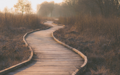 Job, career, calling: Which leads to happiness? 