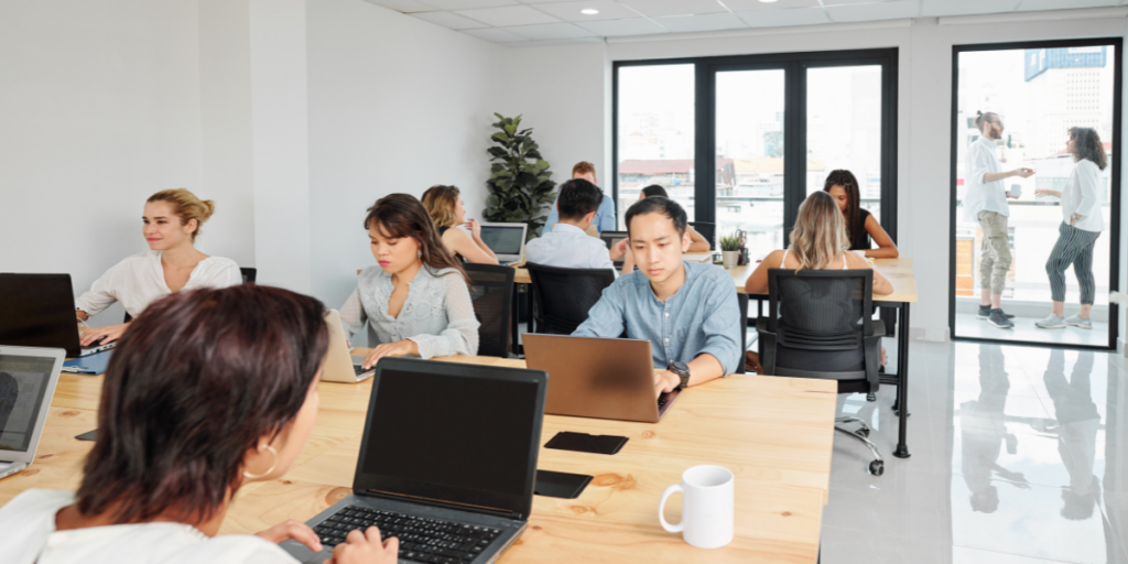 An office space with team members working on their laptops.
