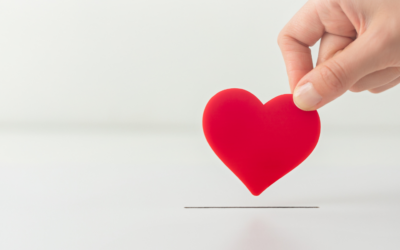 Layne, The Auctionista’s five tips to up your fundraising game