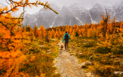 September “toolkit” to ease into the next season