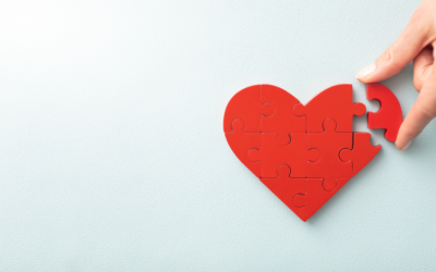 Building a strong foundation: Why monthly donations matter for small and medium-sized charities