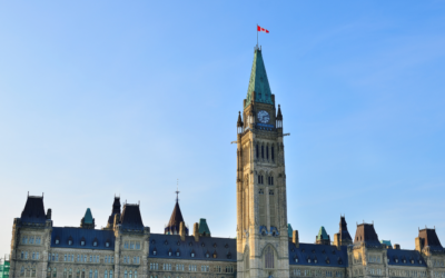 Worried about the impacts of US tariffs on your nonprofit? Here are three key actions you can take now