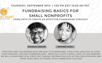 Fundraising Basics for Small Nonprofits: Using Data to Create an Effective Fundraising Strategy