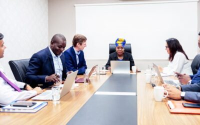 Making the shift from a ‘working board’ to a ‘policy board’: Essential infrastructure to ease the transition